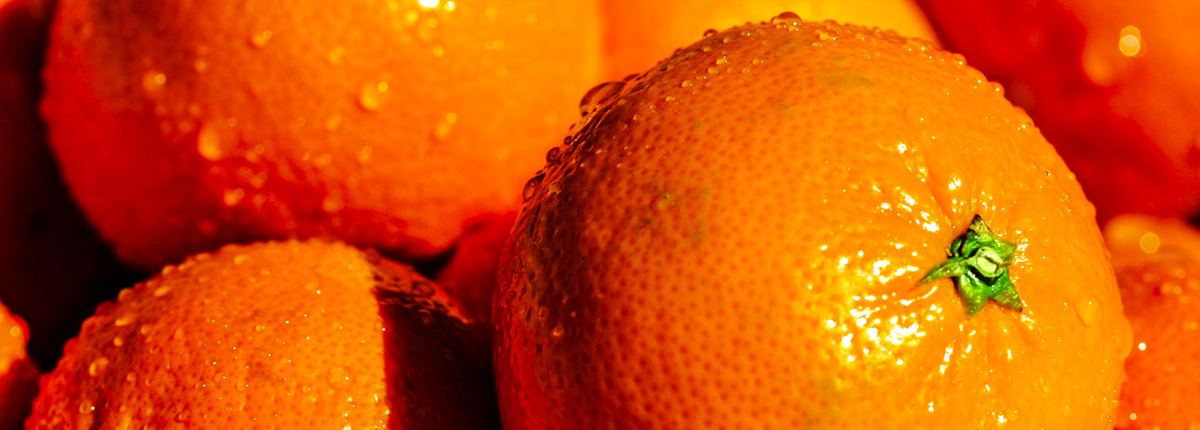 怎么去攻击一个网站与防护